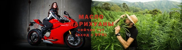 mix Богородицк