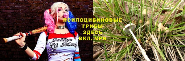 mix Богородицк