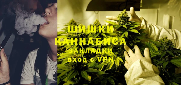 mix Богородицк