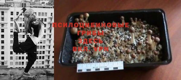 mix Богородицк