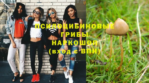 герыч Богородск
